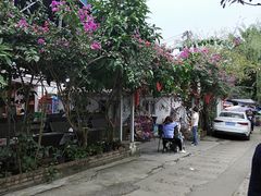 -三圣花乡旅游区