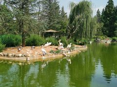 -云南野生动物园