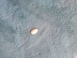 -张师傅首饰加工修理(西单华威潮铺街店)