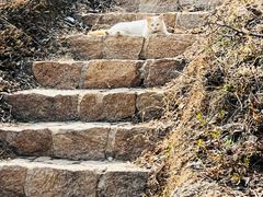 -云峰山自然风景区
