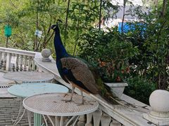 -金庭庄园酒店-停车场