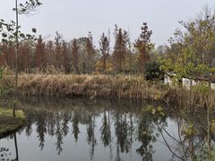 -溱湖国家湿地公园