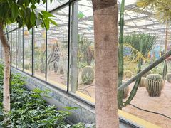 -南宫五洲植物乐园