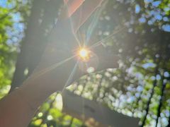 -洨河生态公园
