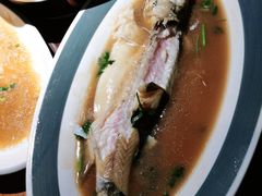 -前海沿·青岛菜(大拇指广场石老人店)