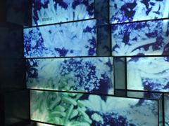 -同济大学四平路校区深海探索馆