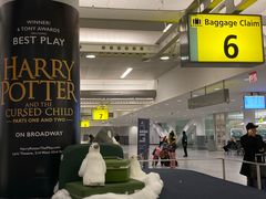 -约翰·菲茨杰拉德·肯尼迪国际机场