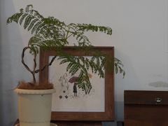 -春风十里咖啡馆