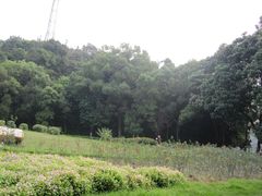 -广州市干部健康管理中心