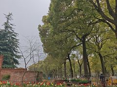 -上海鲜花港