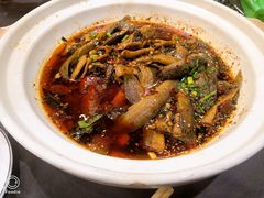 -情妹耙泥鳅·江湖川菜(科华店)