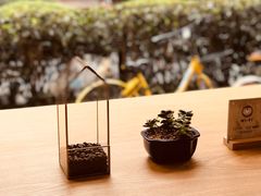 -WIZARD COFFEE咖啡巫师