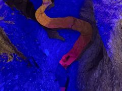 -寻龙山风景旅游区