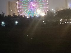 -万绿园