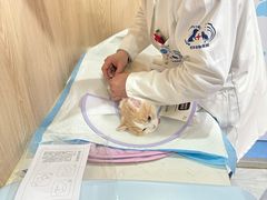 -恒幸动物医院·急重症转诊中心·神经内外科·CT核磁