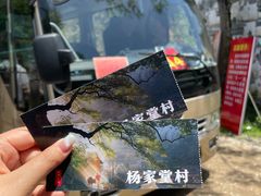 -杨家堂村