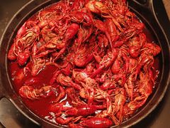 -“香”全日餐厅·株洲大汉希尔顿酒店