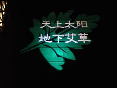 -端艾堂·SPA·艾灸(棕榈泉013店)