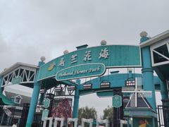 -荷兰花海
