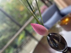 -北京丽晶酒店