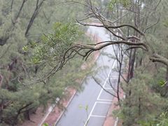 -大埔公路-马料水段香港中文大学(公交站)