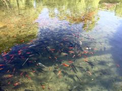 -水磨沟公园