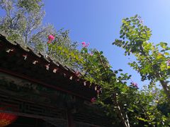 -铃木食堂(帽儿胡同店)