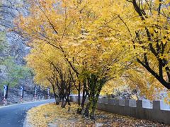 -水峪民俗村
