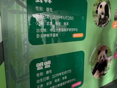 -武汉动物园