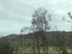 -汕尾风车岛