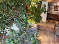 -慢丽江·云南野生菌土鸡锅(付家庄店)