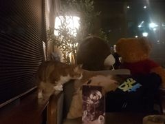 -咖法森林·咖啡  酒吧(天河店)