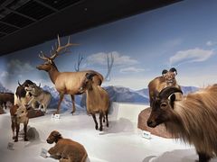 -陕西自然博物馆