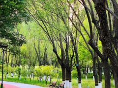 -大兴滨河森林公园