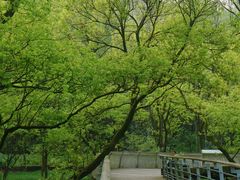 -西湖风景区-江洋畈生态公园
