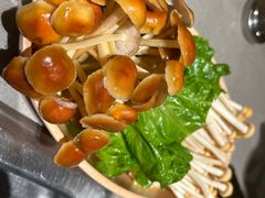 -海底捞火锅(石厦时代广场店)