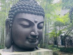 -杭州植物园