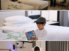 -新加坡乌节希尔顿酒店 (SG Clean)