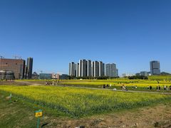 -光明小镇欢乐田园