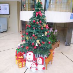-杭州整形医院·国际部