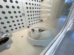 -comecome来吧宠物(奥克斯中心店)