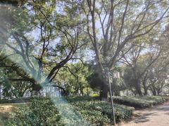 -永安龟山公园