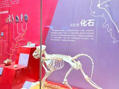 -国家自然博物馆