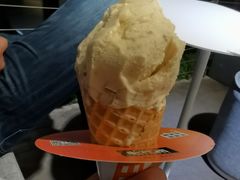 -野人牧坊Gelato(天津南开大悦城店)