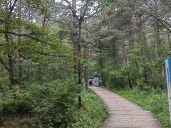 -帽儿山国家森林公园