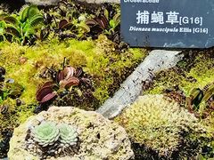 -国家植物园南园