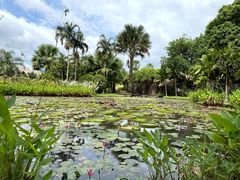 -中国科学院西双版纳热带植物园