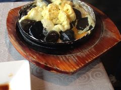 鸡蛋碰石头-甲21号招待所