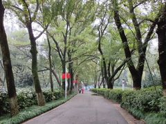 -赭山公园