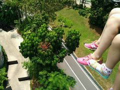 -圣淘沙天际线斜坡滑车